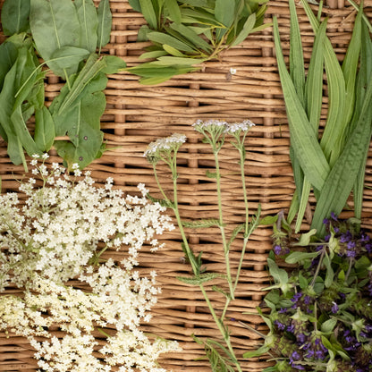 Basket of foraged plants and flowers during the Scotland's Wild Medicine course at Lynbreck Croft.