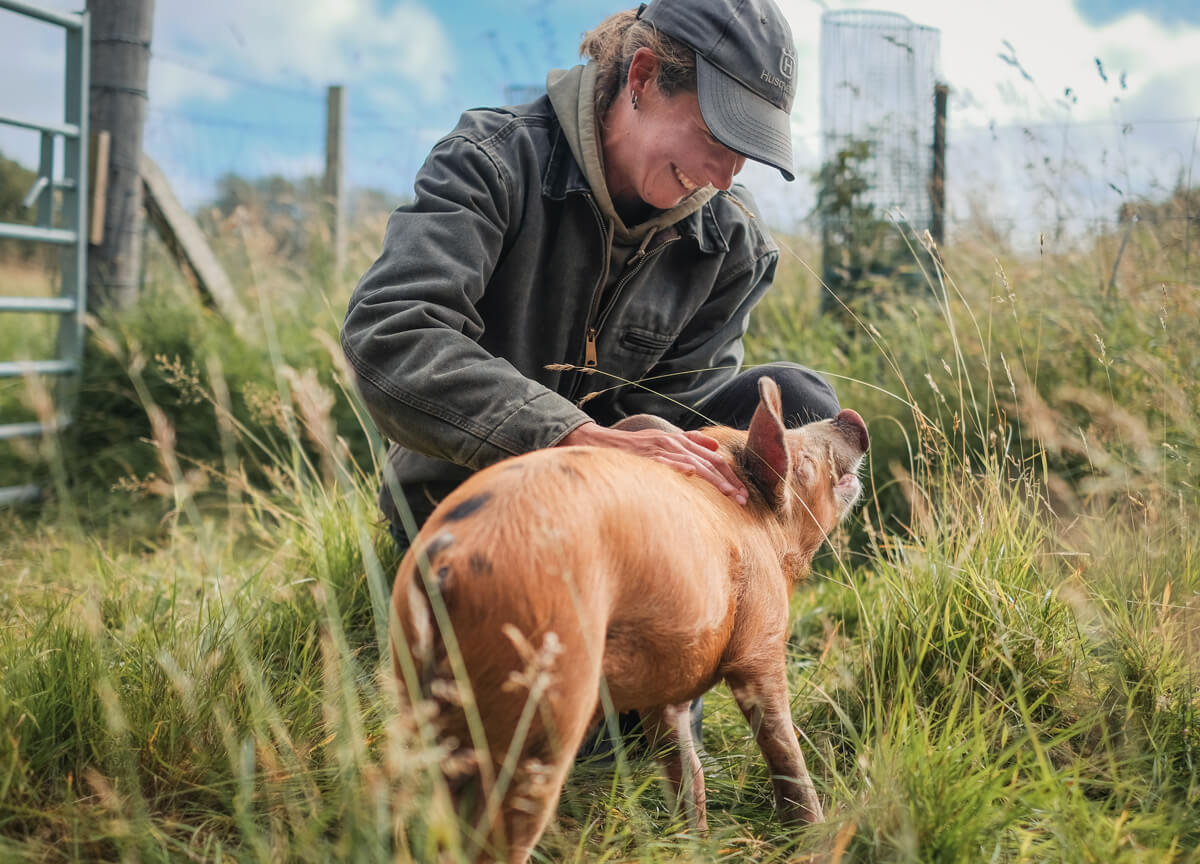 Farmer smiling and petting an outdoor pig at Lynbreck Croft.