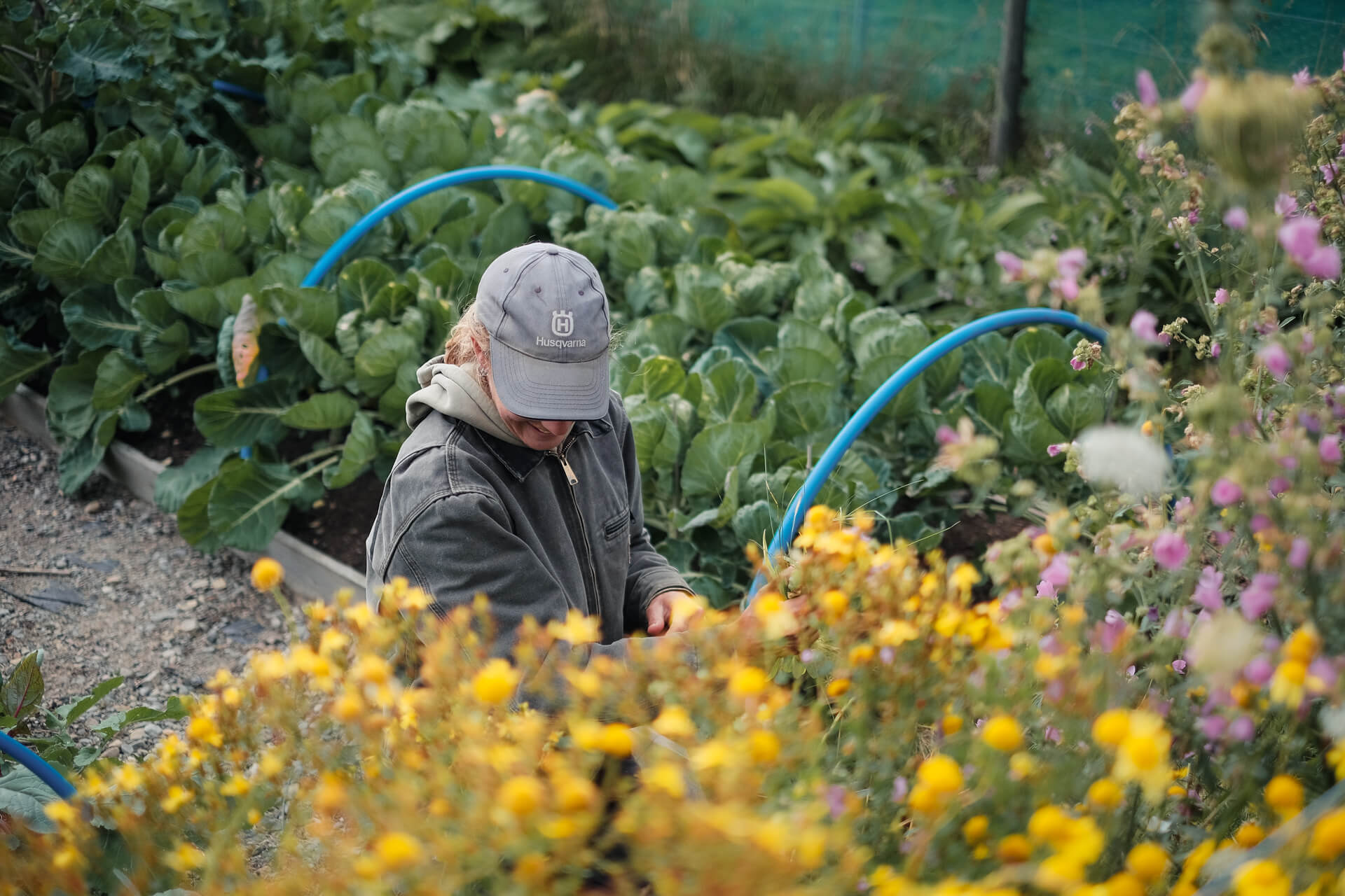 Farmer working in a bountiful kitchen garden at Lynbreck Croft, surrounded by flowers and vegetables.