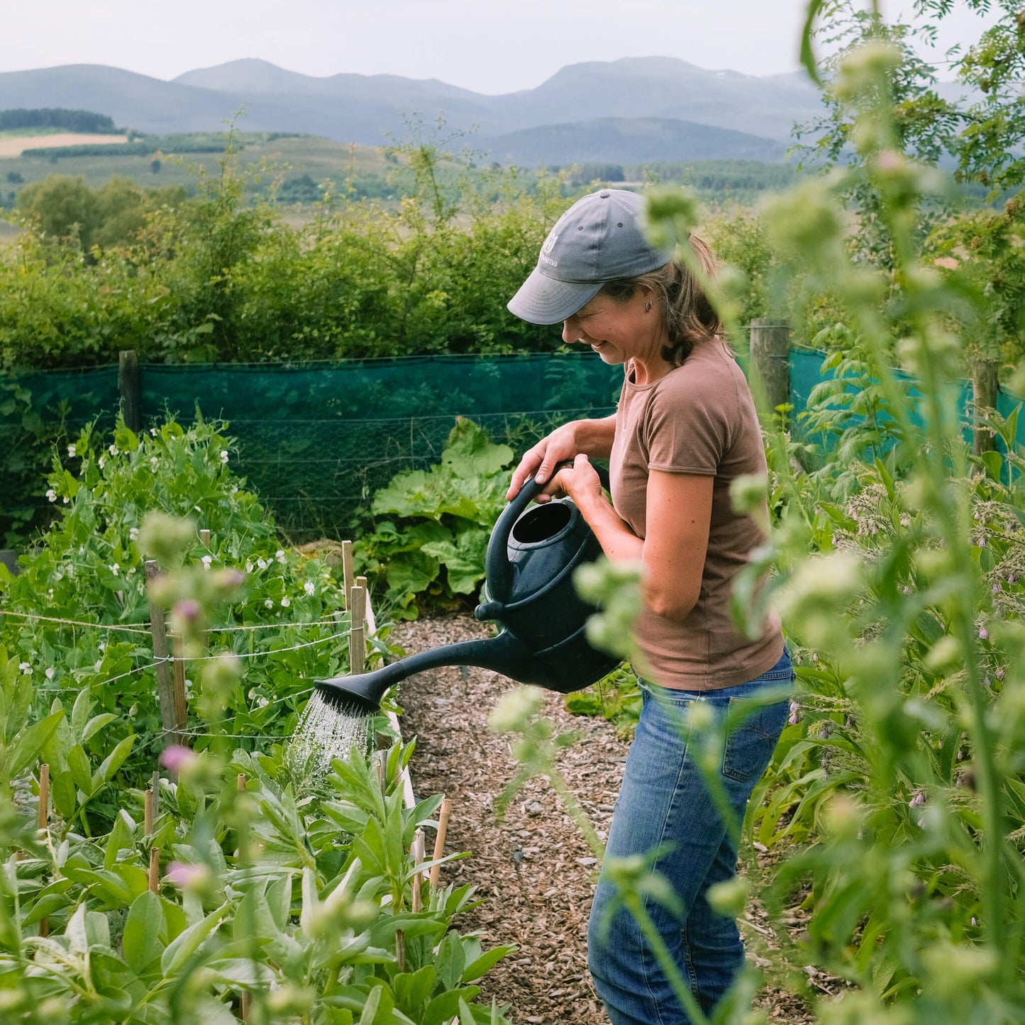 Dalefoot Compost